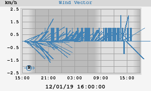 Wind Vector