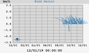 Wind Vector